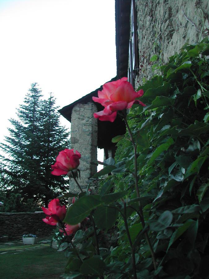 Chambre D'Hotes Cal Barbe Targassonne Exterior foto